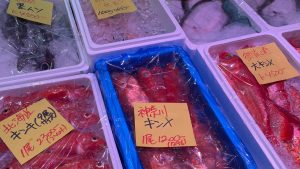 鮮魚の入荷情報専門の写真サイトの入荷時のイメージ